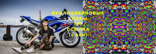 винт Алексеевка