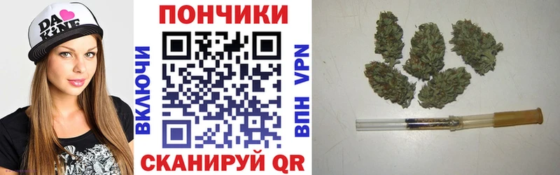 Купить закладки  Белёв  Бошки марихуана сатива 
